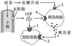 高中生物專題解析 細胞培養技術及其應用